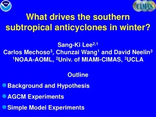 What drives the southern subtropical anticyclones in winter?