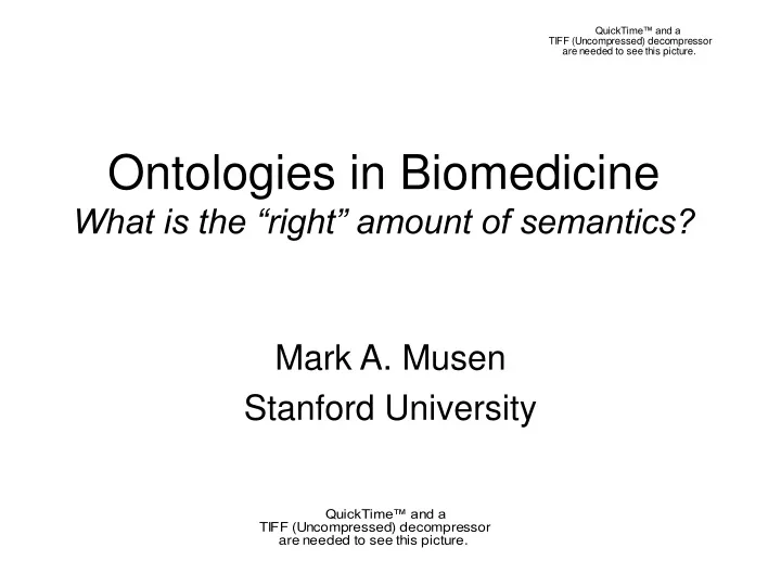 ontologies in biomedicine what is the right amount of semantics