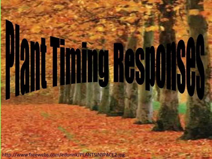 plant timing responses