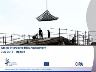 Online interactive Risk Assessment July 2018 – Update