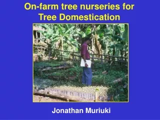 On-farm tree nurseries for Tree Domestication