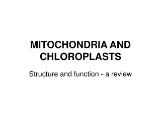 MITOCHONDRIA AND CHLOROPLASTS