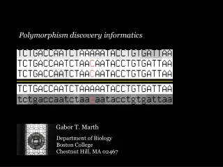 Polymorphism discovery informatics