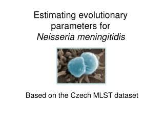 Estimating evolutionary parameters for Neisseria meningitidis