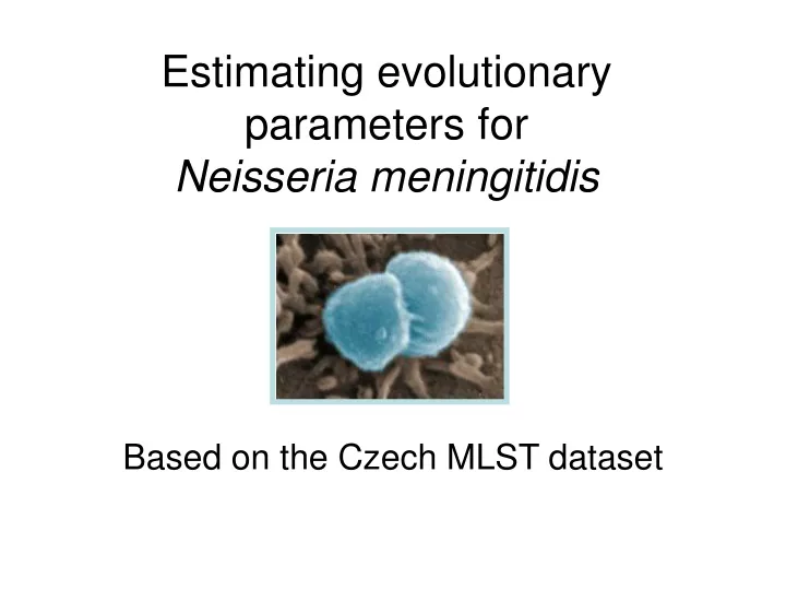 estimating evolutionary parameters for neisseria meningitidis