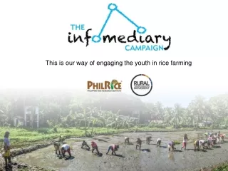 This is our way of engaging the youth in rice farming