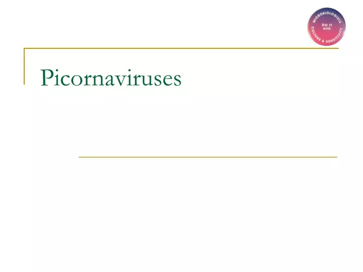 picornaviruses