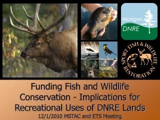 Funding Fish and Wildlife   Conservation - Implications for  Recreational Uses of DNRE Lands