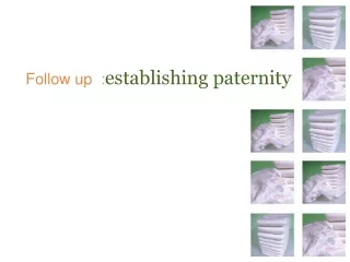Follow up  : establishing paternity