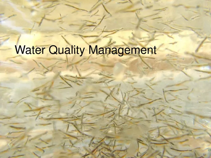 water quality management