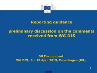 Reporting guidance   preliminary discussion on the comments received from WG DIS