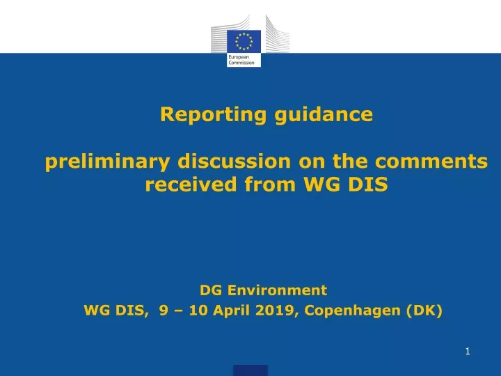 reporting guidance preliminary discussion on the comments received from wg dis