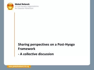 Sharing perspectives on a Post-Hyogo Framework - A collective discussion