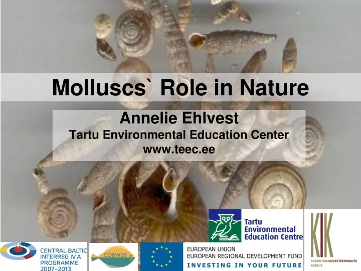 molluscs role in nature