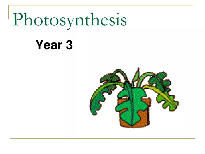 photosynthesis