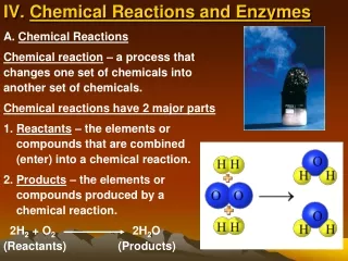 IV.  Chemical Reactions and Enzymes