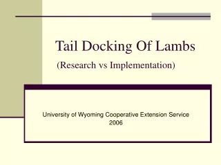 Tail Docking Of Lambs   (Research vs Implementation)