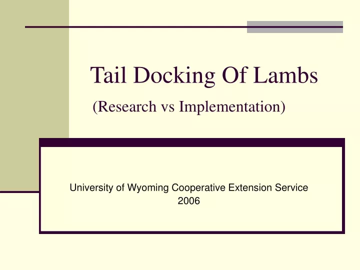 tail docking of lambs research vs implementation