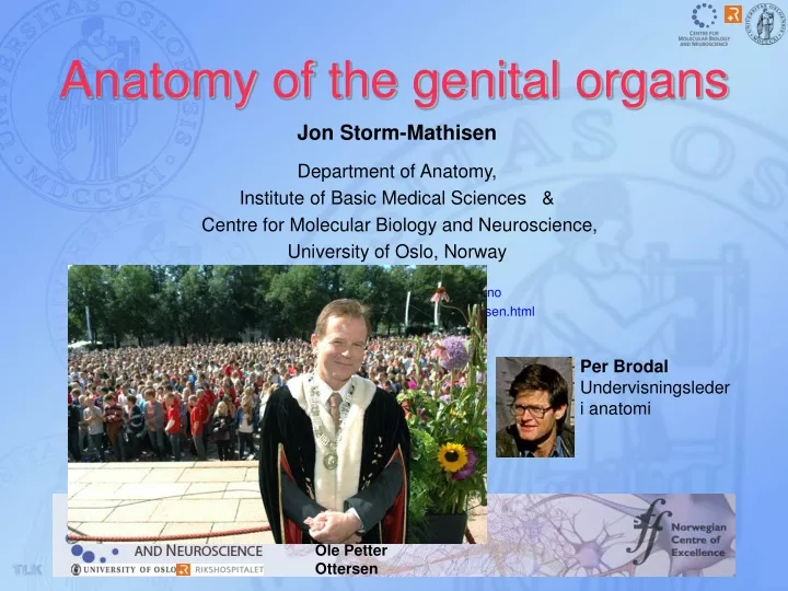 anatomy of the genital organs