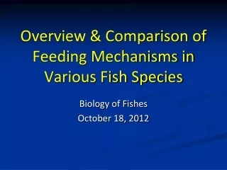 Overview &amp; Comparison of Feeding Mechanisms in Various Fish Species