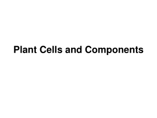 Plant Cells and Components