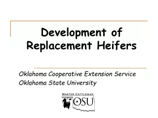 Development of  Replacement Heifers