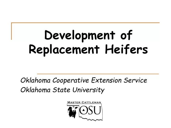 development of replacement heifers