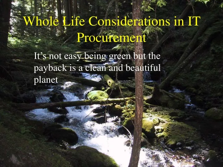 whole life considerations in it procurement