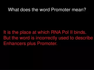 What does the word Promoter mean?