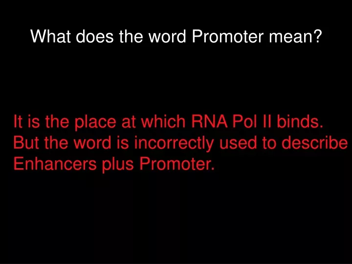 what does the word promoter mean