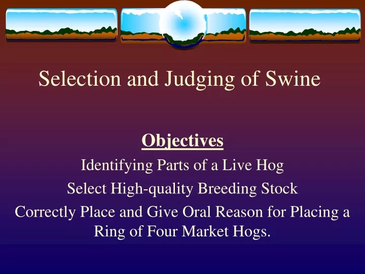 selection and judging of swine
