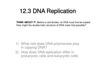 12.3 DNA Replication