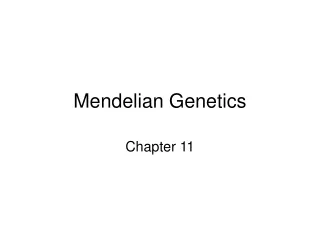 Mendelian Genetics