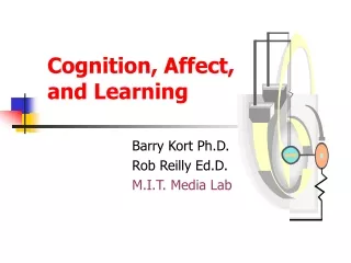 Cognition, Affect, and Learning