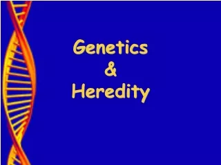 Genetics &amp;  Heredity