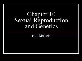 Chapter 10 Sexual Reproduction and Genetics