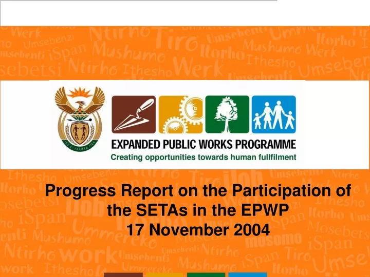 progress report on the participation of the setas