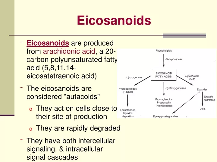 eicosanoids