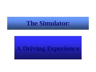 The Simulator: