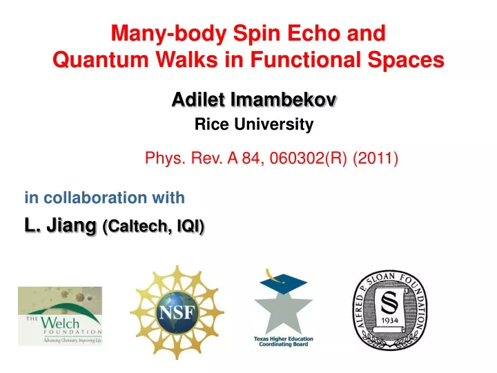 many body spin echo and quantum walks