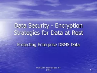 Data Security - Encryption Strategies for Data at Rest