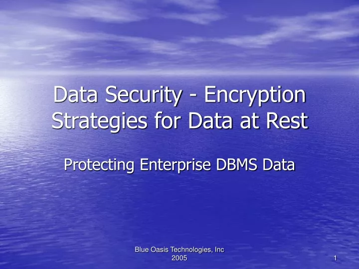 data security encryption strategies for data at rest