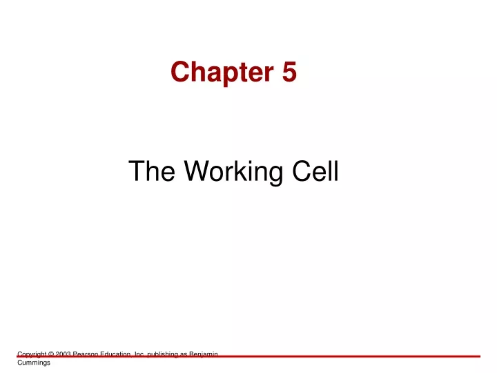 chapter 5 the working cell