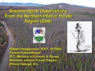Robert Hodgkinson, R.P.F., R.P.Bio. Forest Entomologist B.C. Ministry of Forests &amp; Range