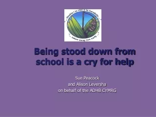 Being stood down from  school is a cry for help