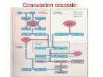 Coagulation cascade: - slide 1