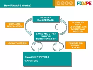 How FOGAPE Works?