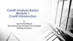 Credit Basics for Financial Success - slide 1