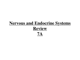 Nervous and Endocrine Systems Review 7A