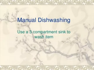 Manual Dishwashing